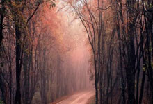 NBA季后赛热战正酣，谁能突围夺冠？