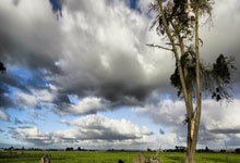 欧联杯赛事紧张展开，多支队伍集体发力冲刺冠军