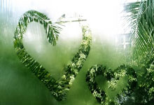 法国速度风暴：当惊世骇俗的疾驰成为荣耀的序章