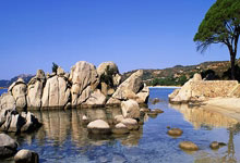 普雷斯顿主场告负，积分榜蒙阴