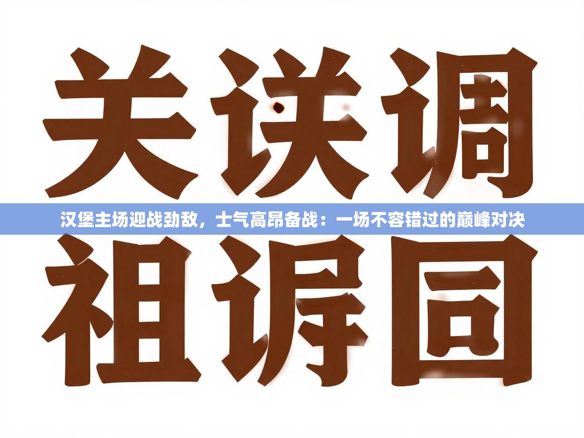 汉堡主场迎战劲敌,士气高昂备战:一场不容错过的巅峰对决 第1张